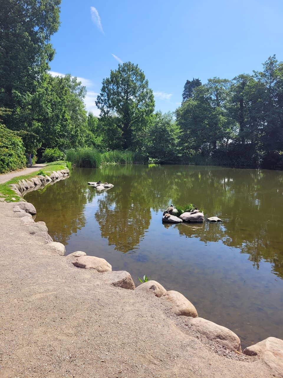 Tranquil Lake