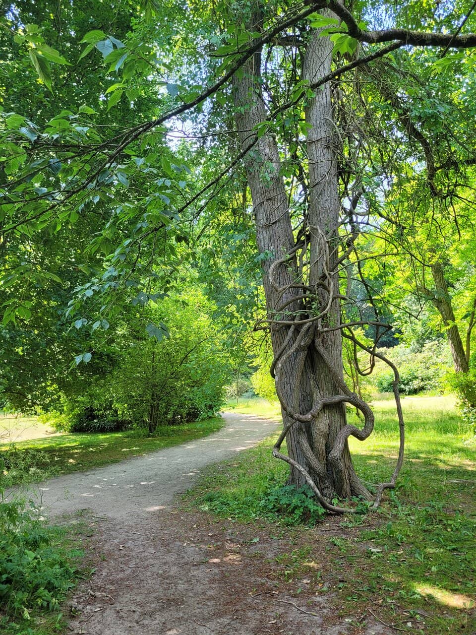 Vertical photo