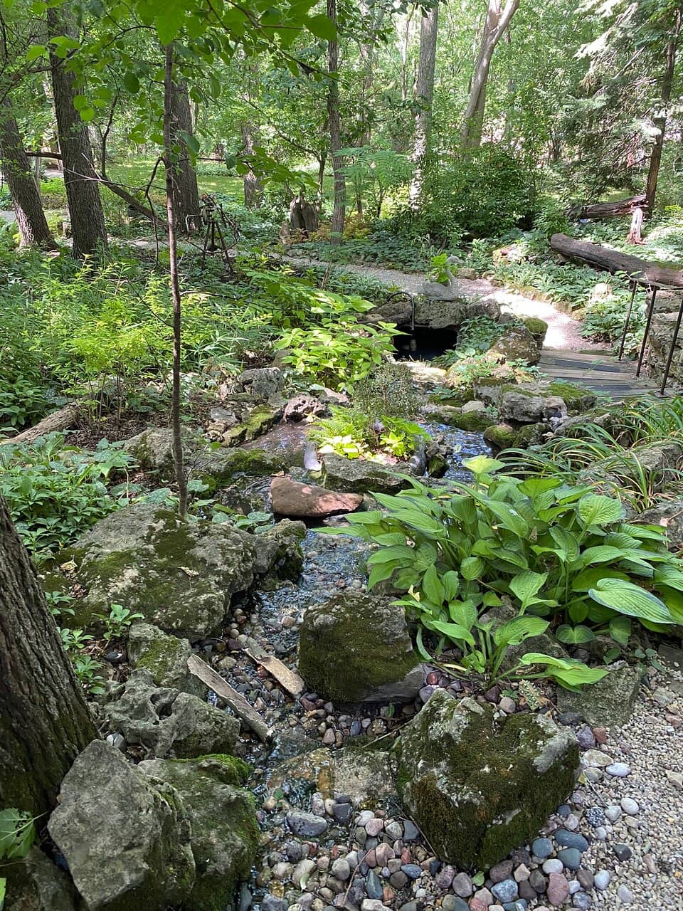 The Stone Garden's Story