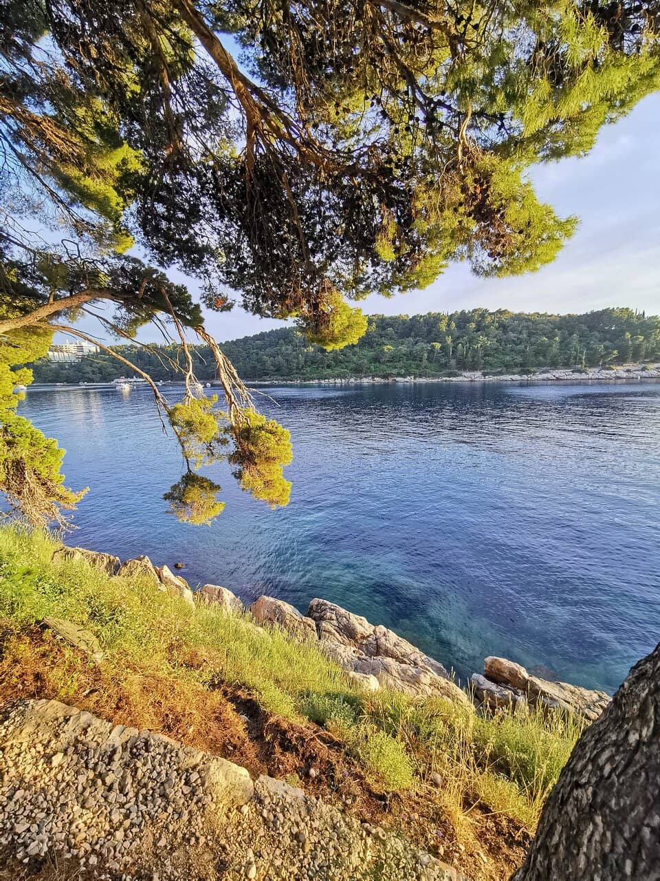 Scenic Coastal Walks