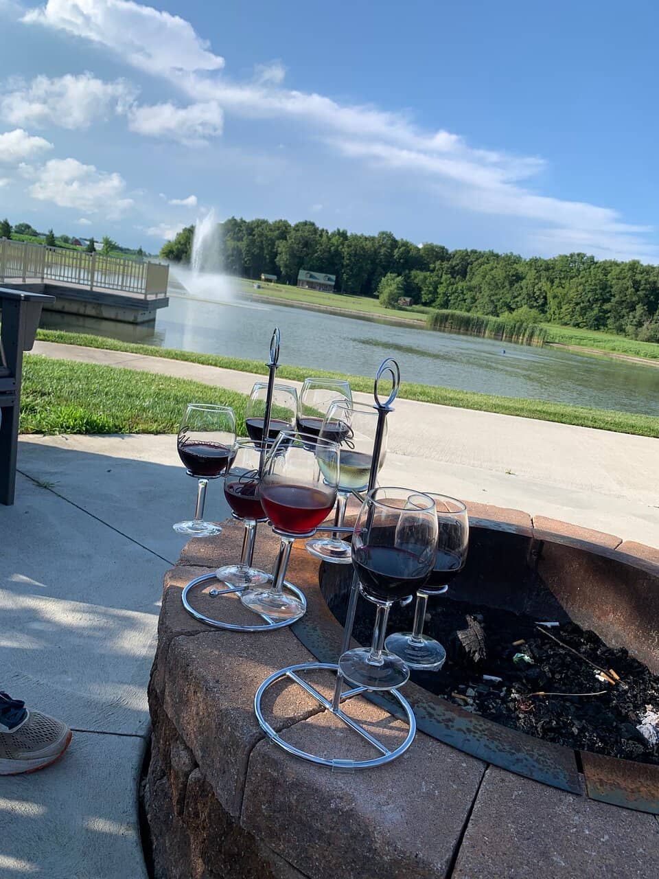 Vineyard Views & Ambiance