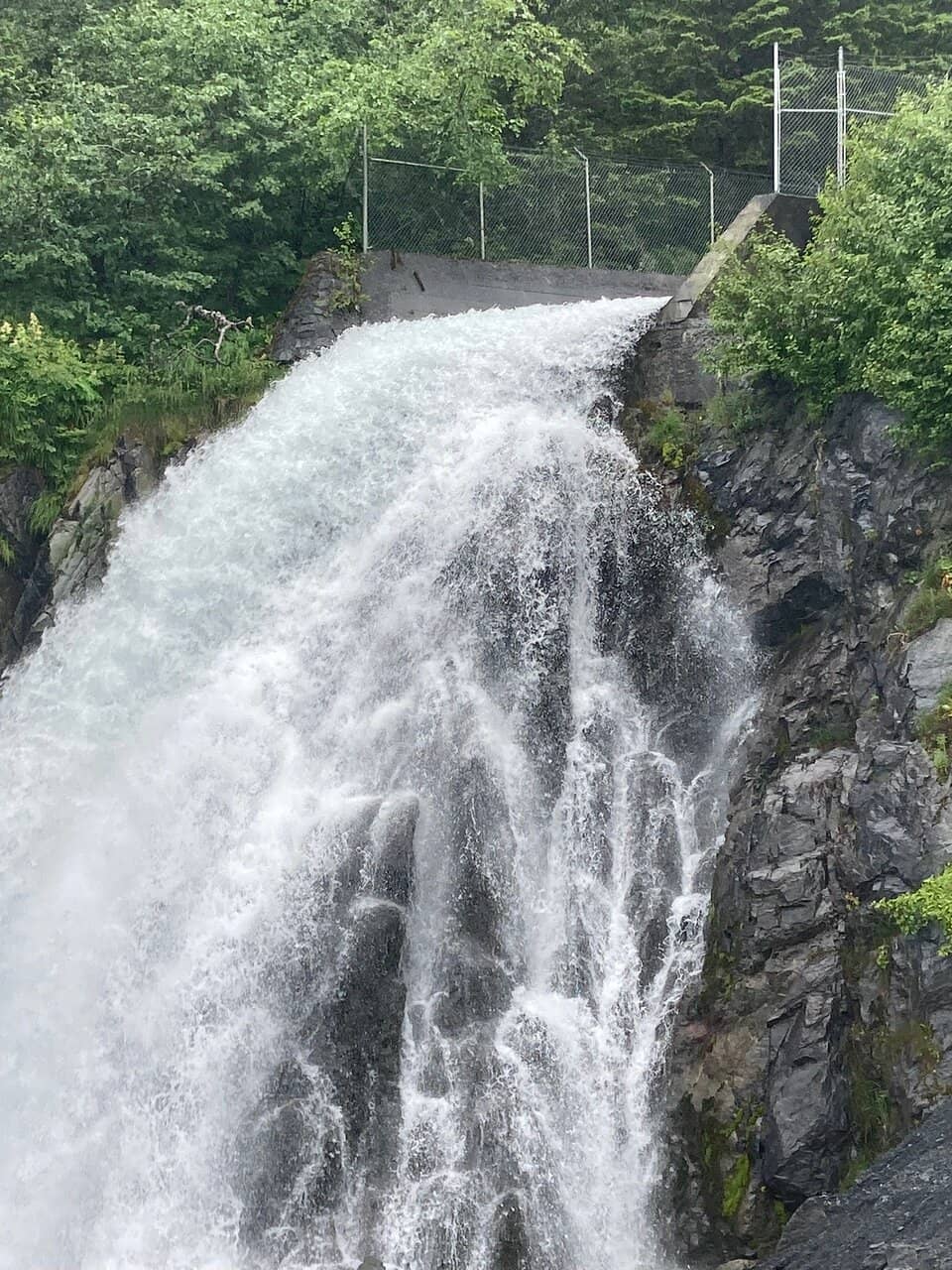 Vertical photo