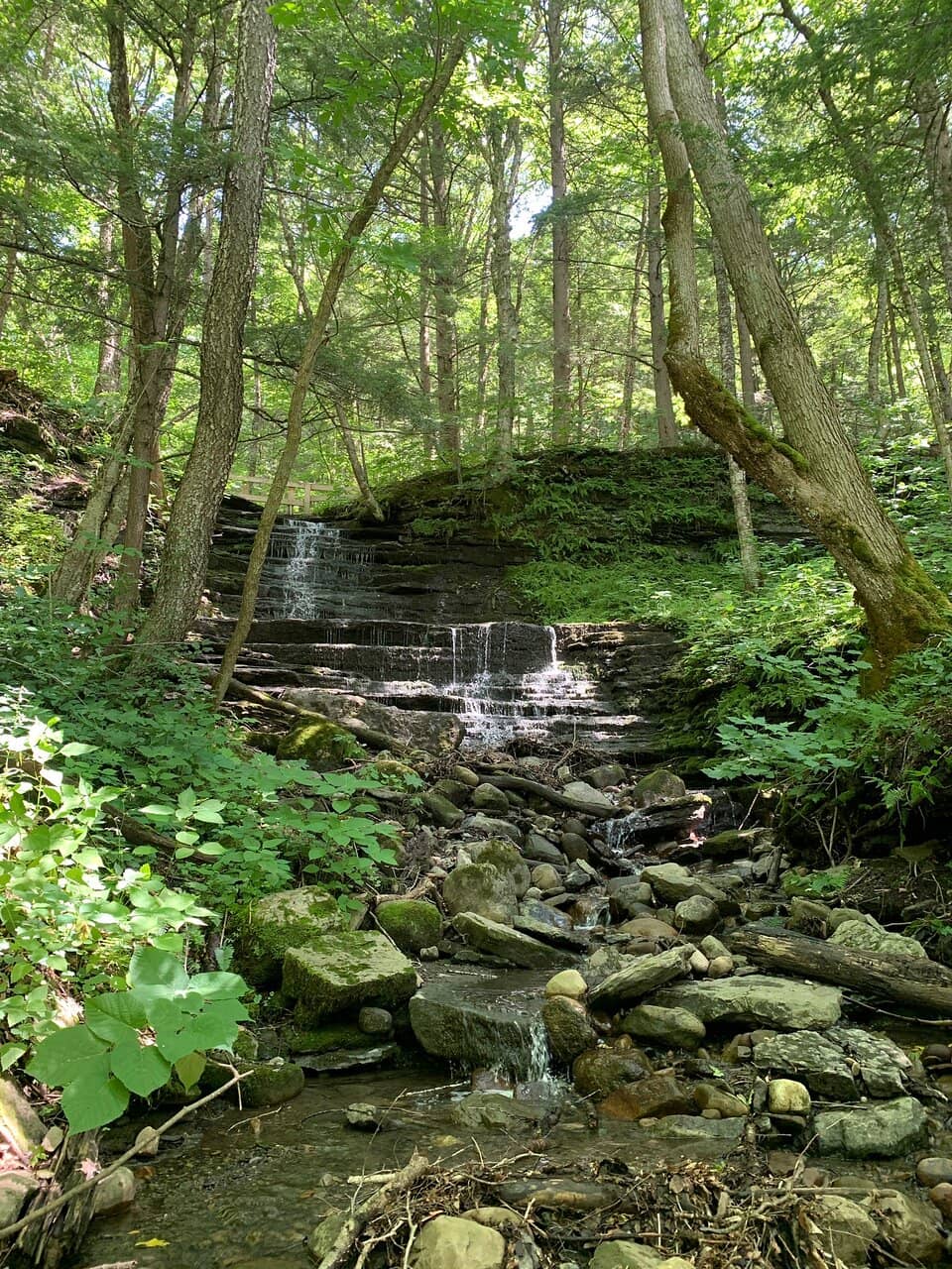 Numerous Smaller Falls