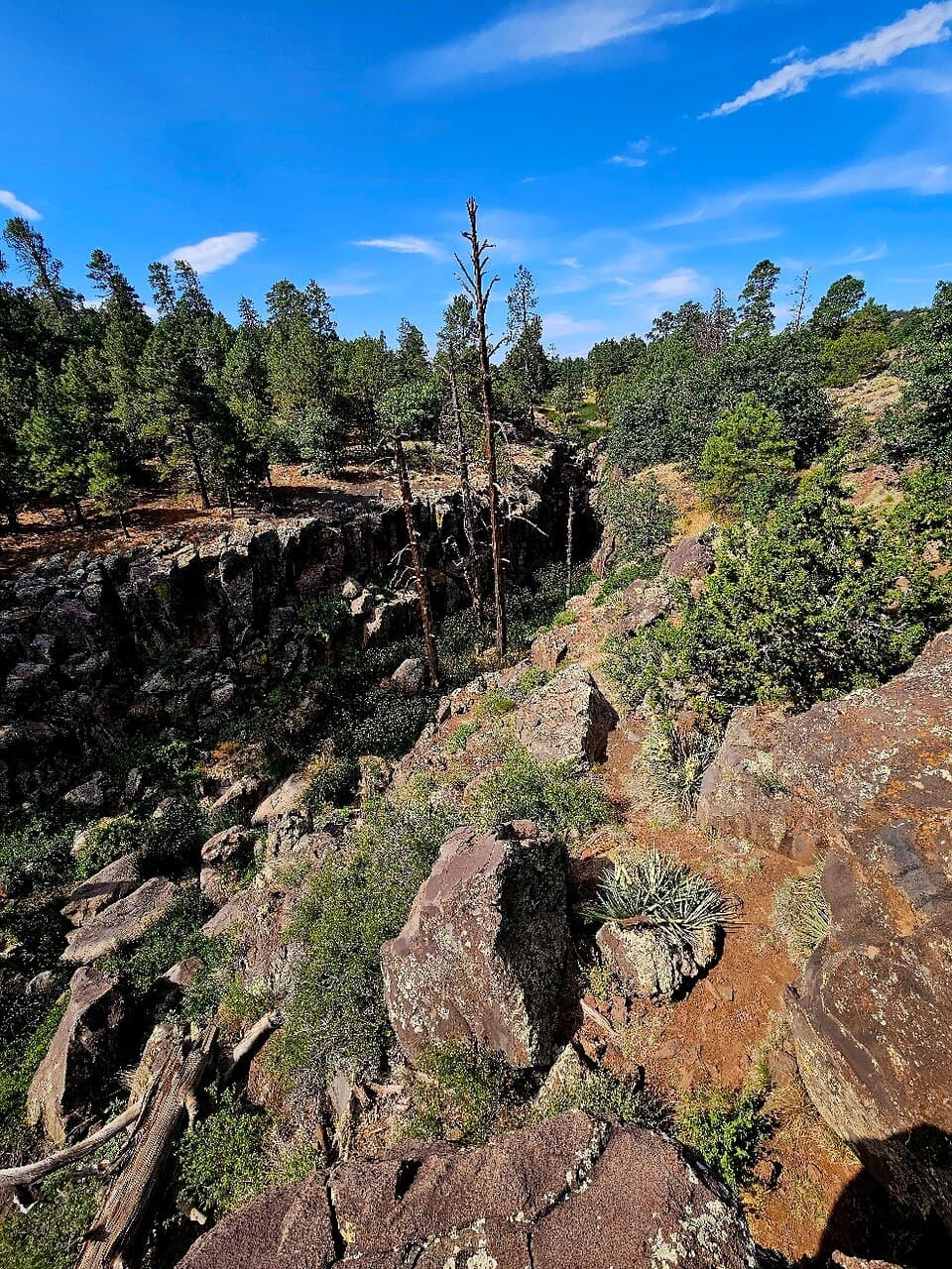 Canyon waterfall and field