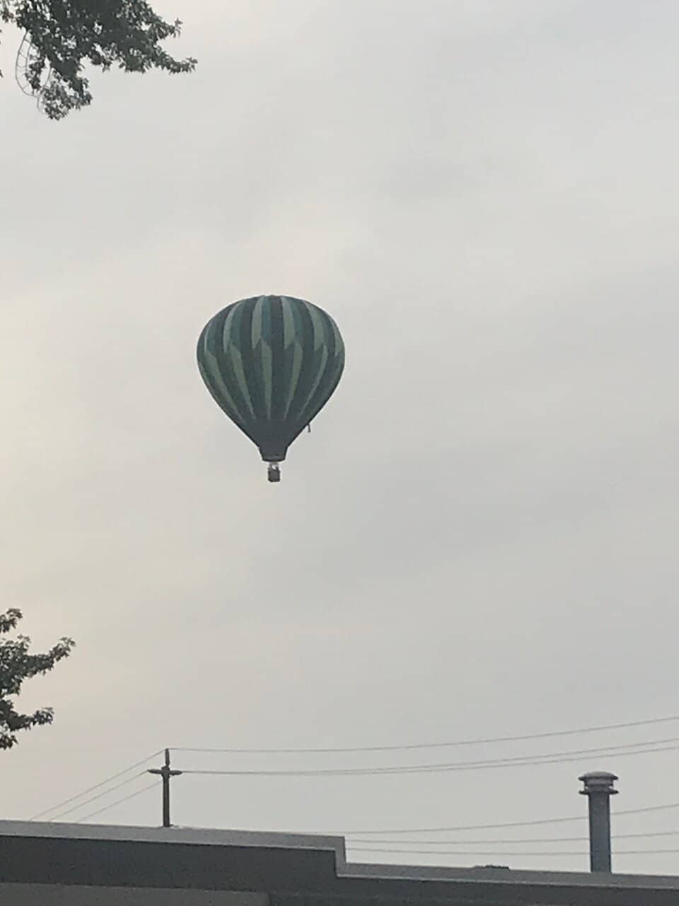 Pride Palooza Celebration