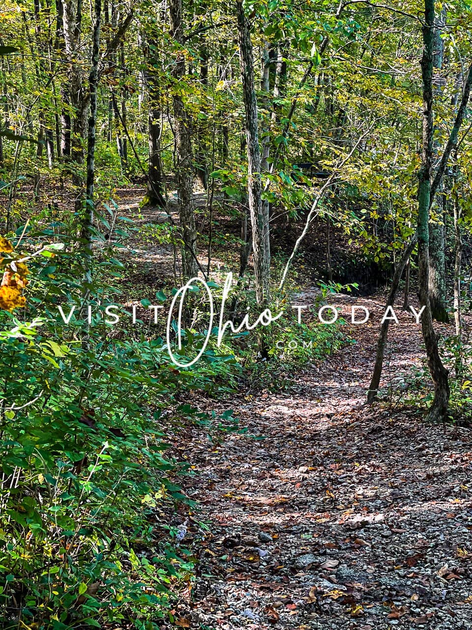 Interactive Nature Center