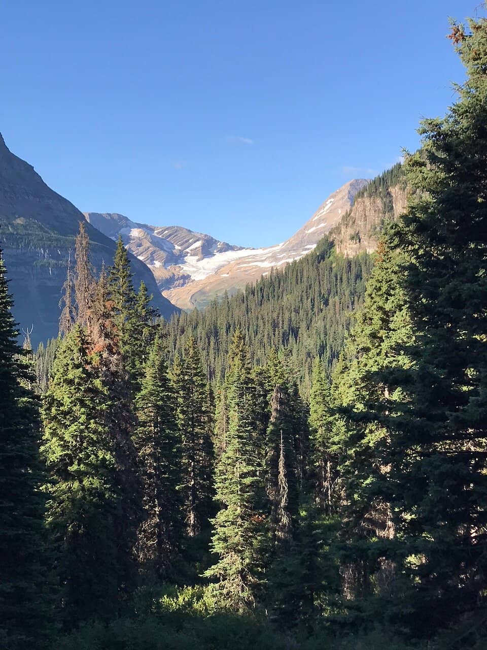 Going-to-the-Sun Road Drive