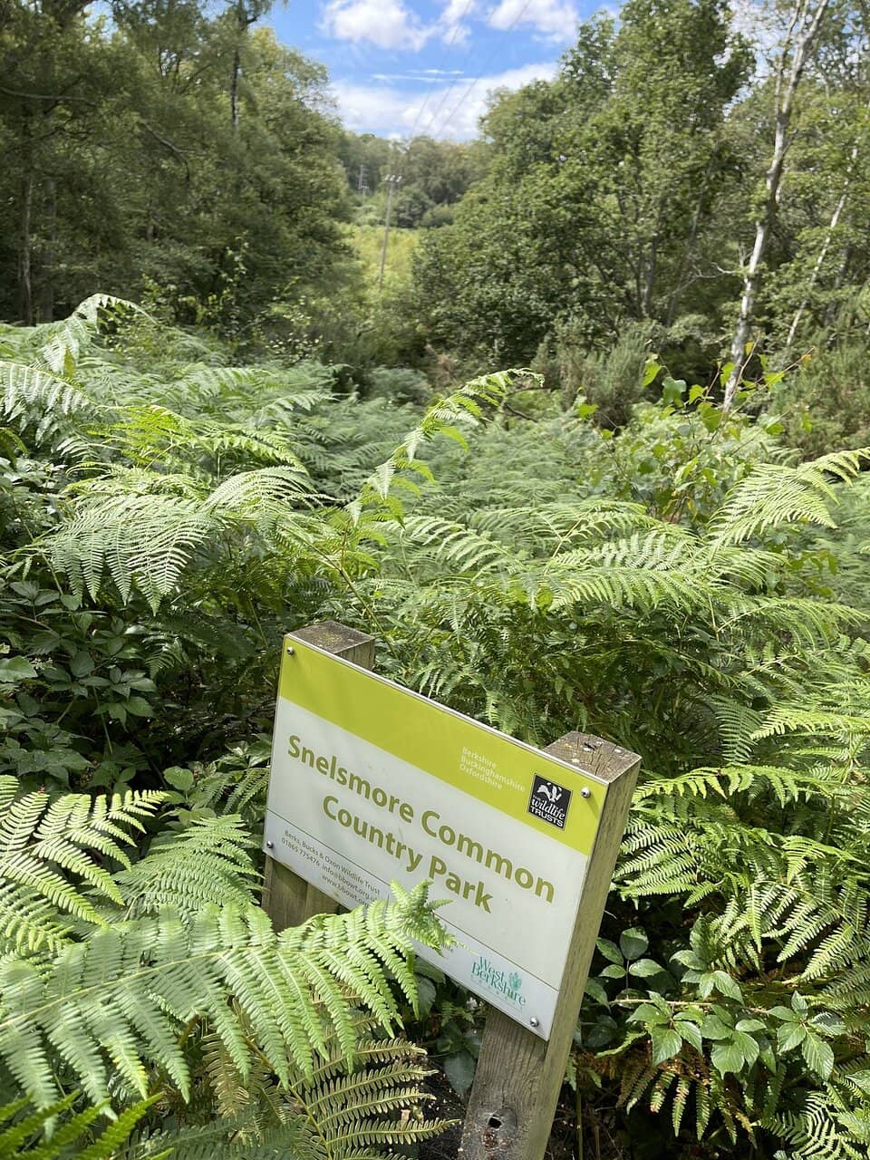 Woodland and Heathland Trails