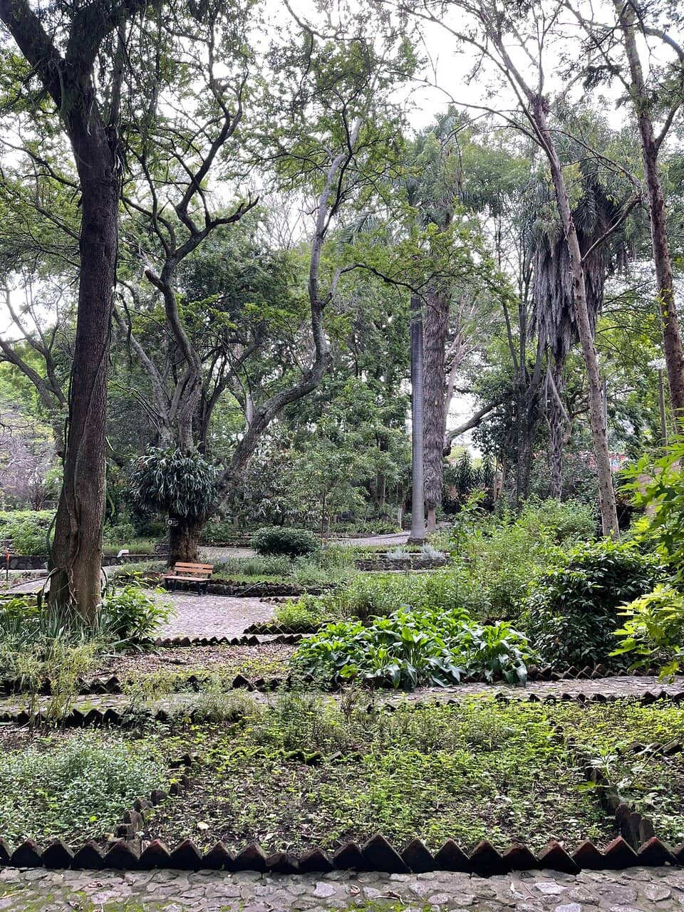 Potential for Learning