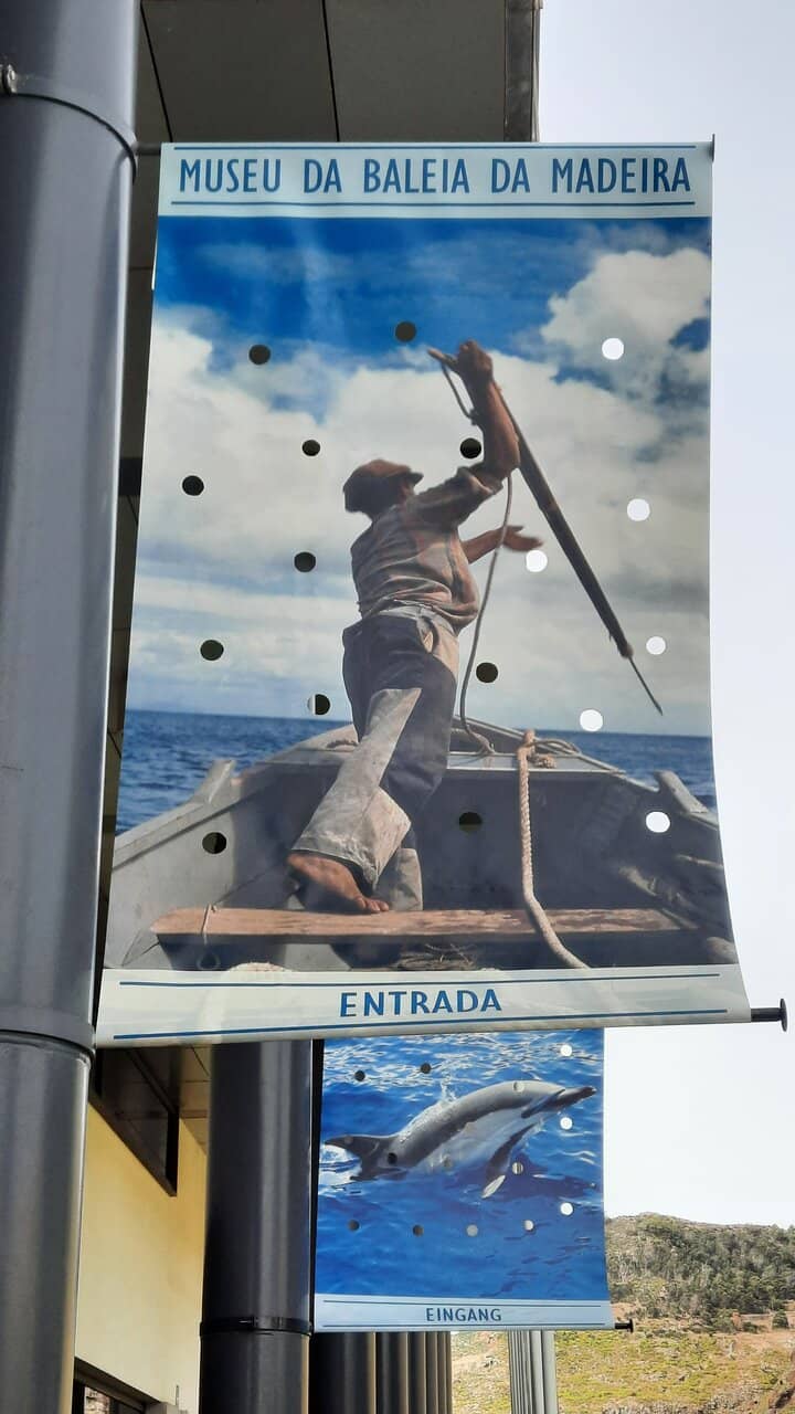 Whaling History Exhibits