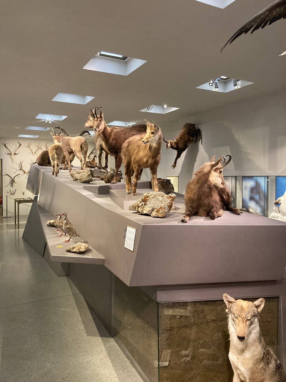 Cultural Heritage Exhibits