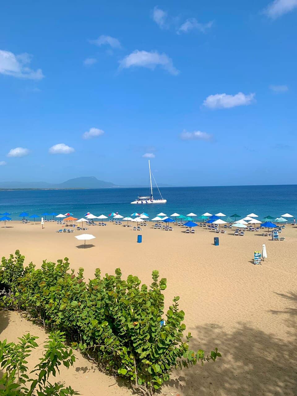 Playa Alicia's Golden Sands