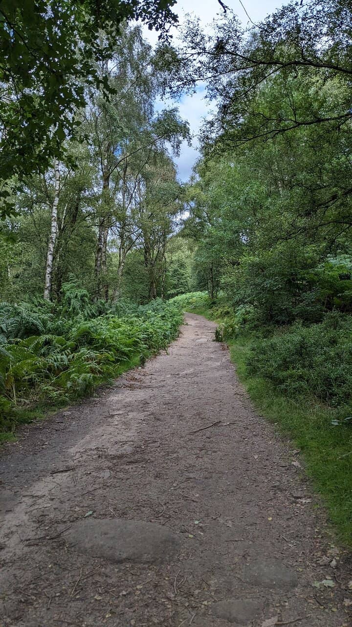 Gritstone Climbing & Bouldering
