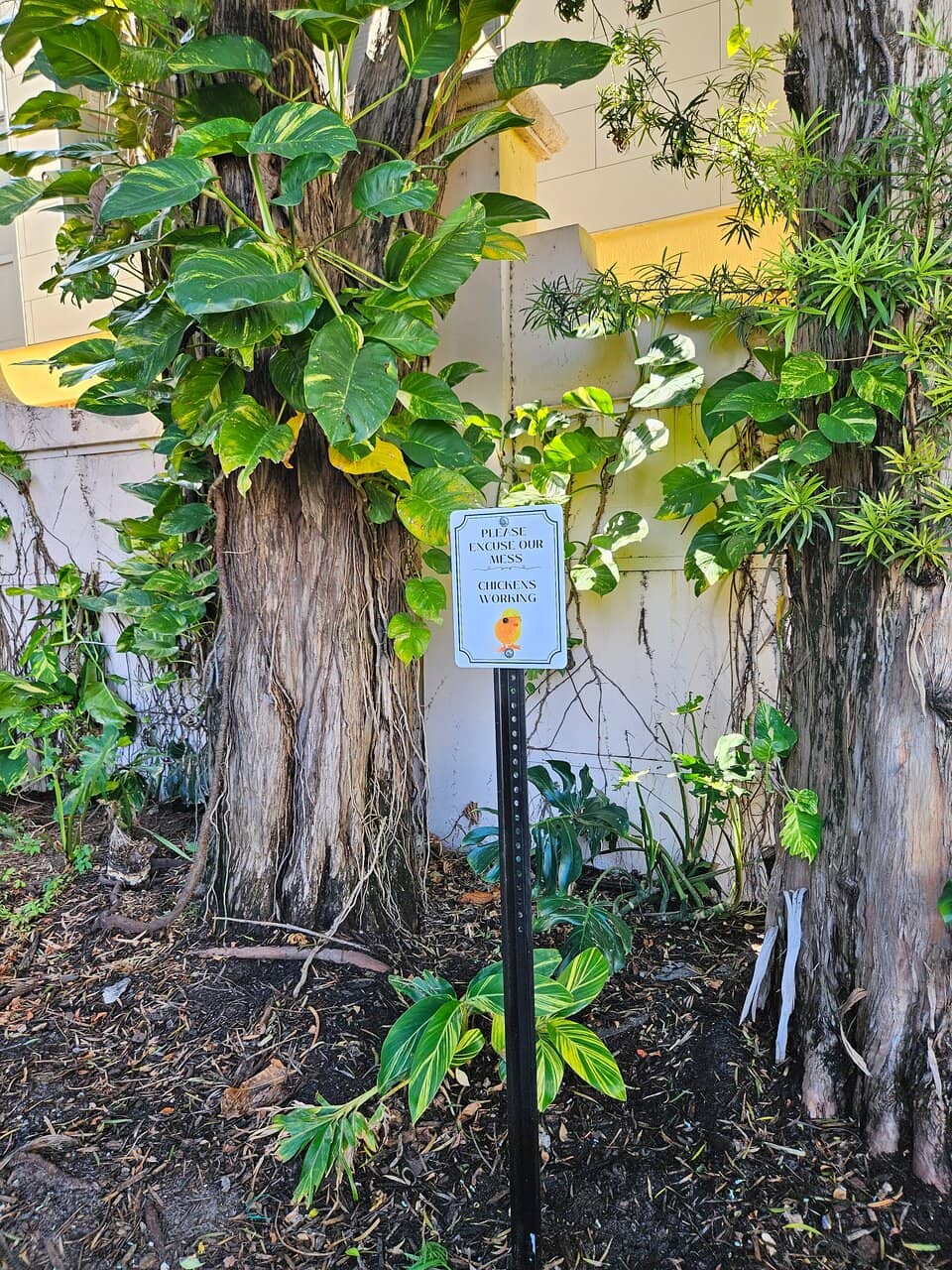 Neoclassical Architecture