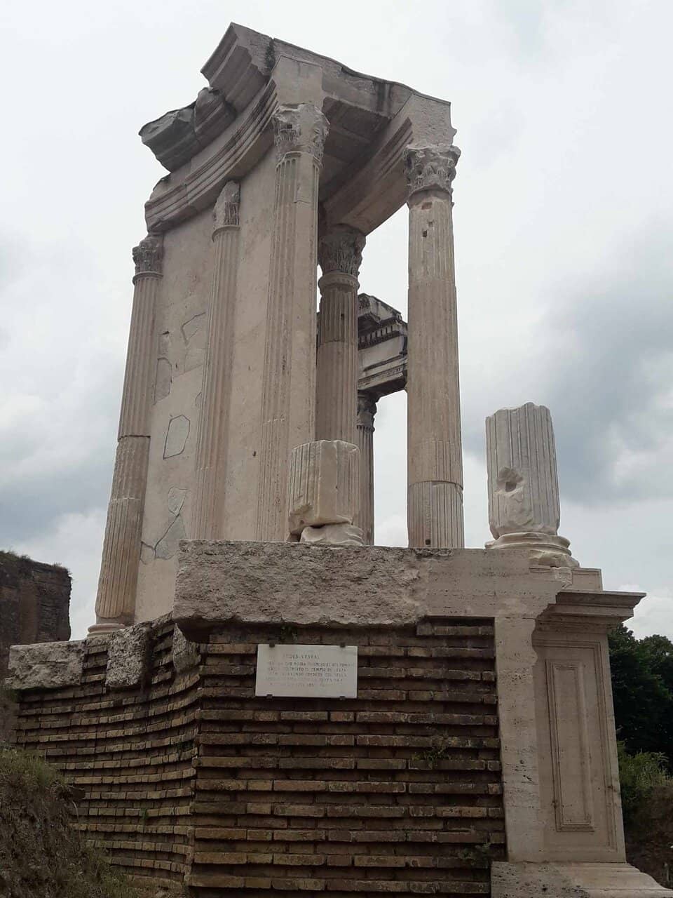 Temple Terrace Views