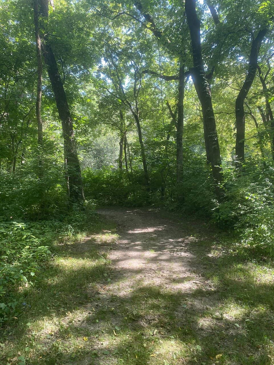 The Iconic Creek Crossings