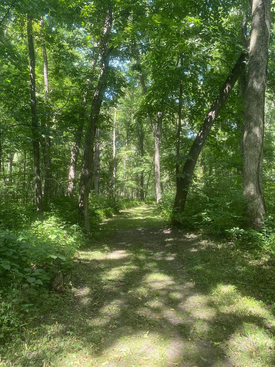 Challenging Hiking Trails