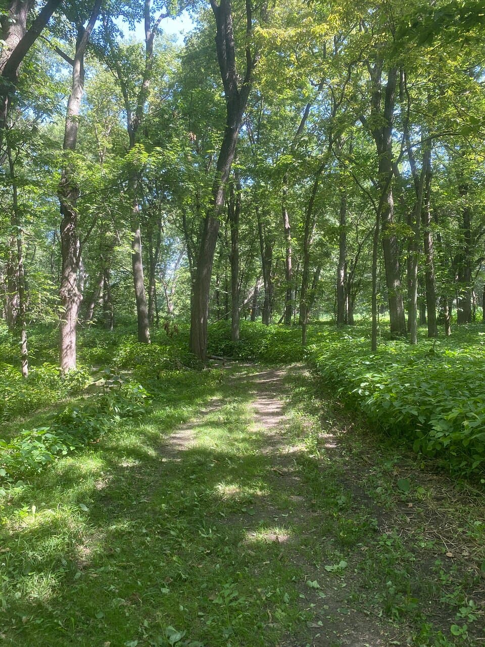 Attempting to Hike at Walnut Woods State Park