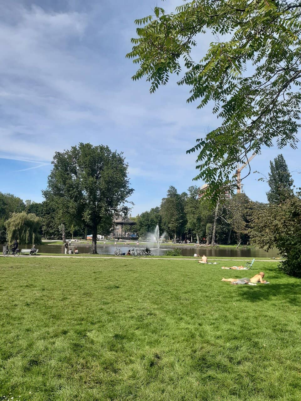 Serene Pond & Greenery
