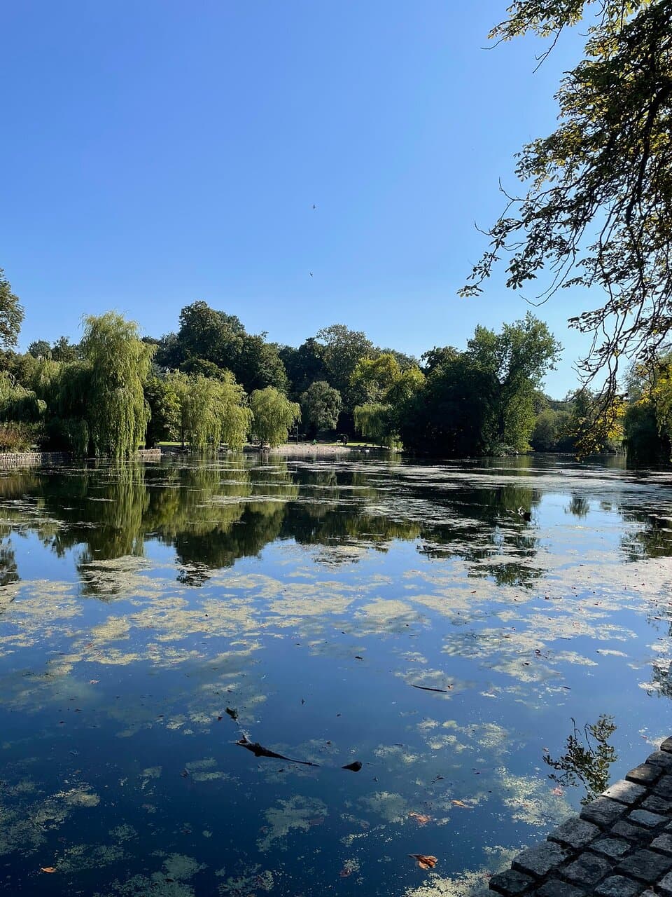 Ropner Park