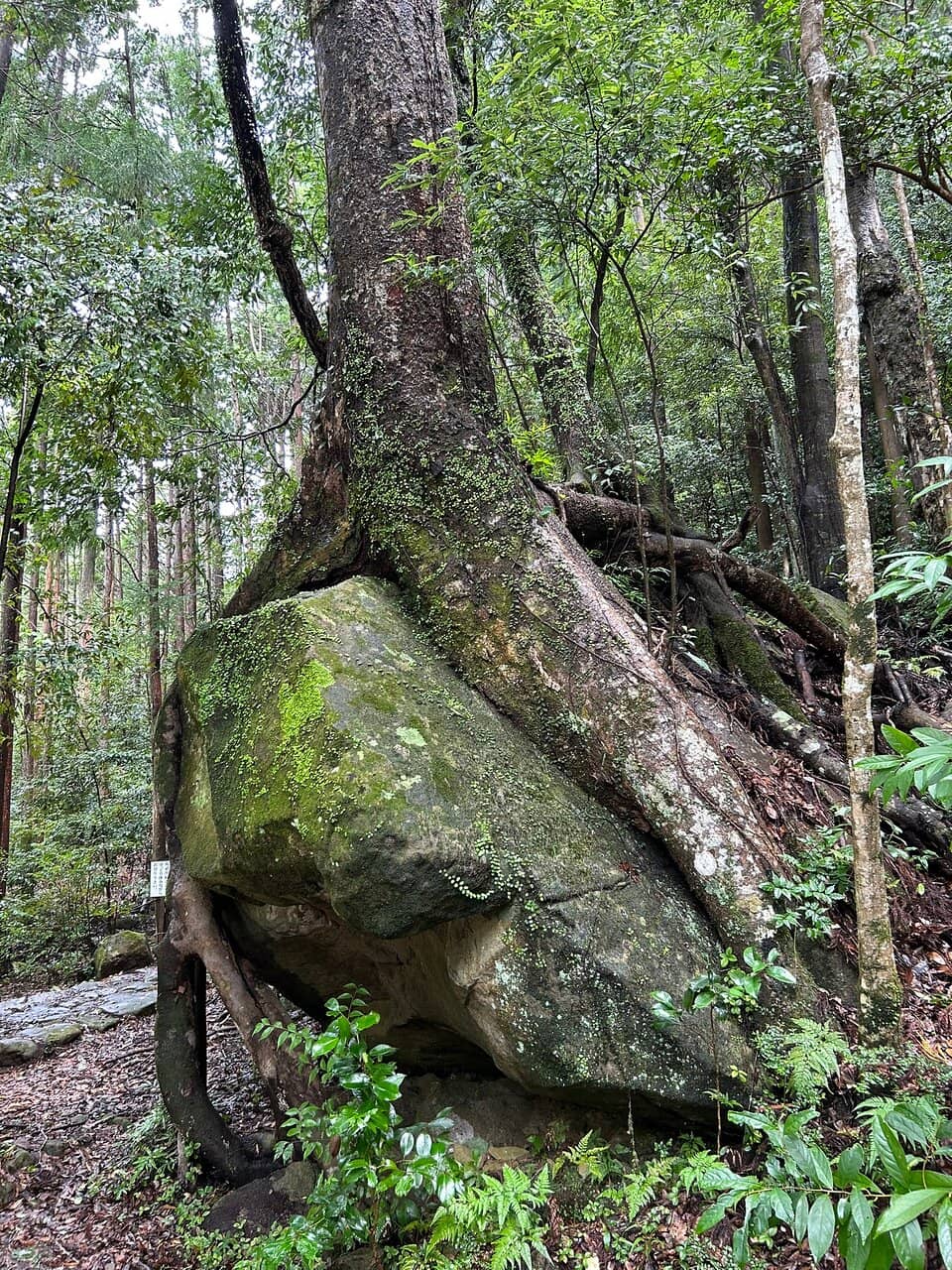 Kumano Kodo-kan Information Center