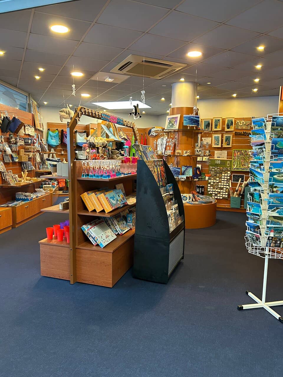 Vibrant Tropical Fish