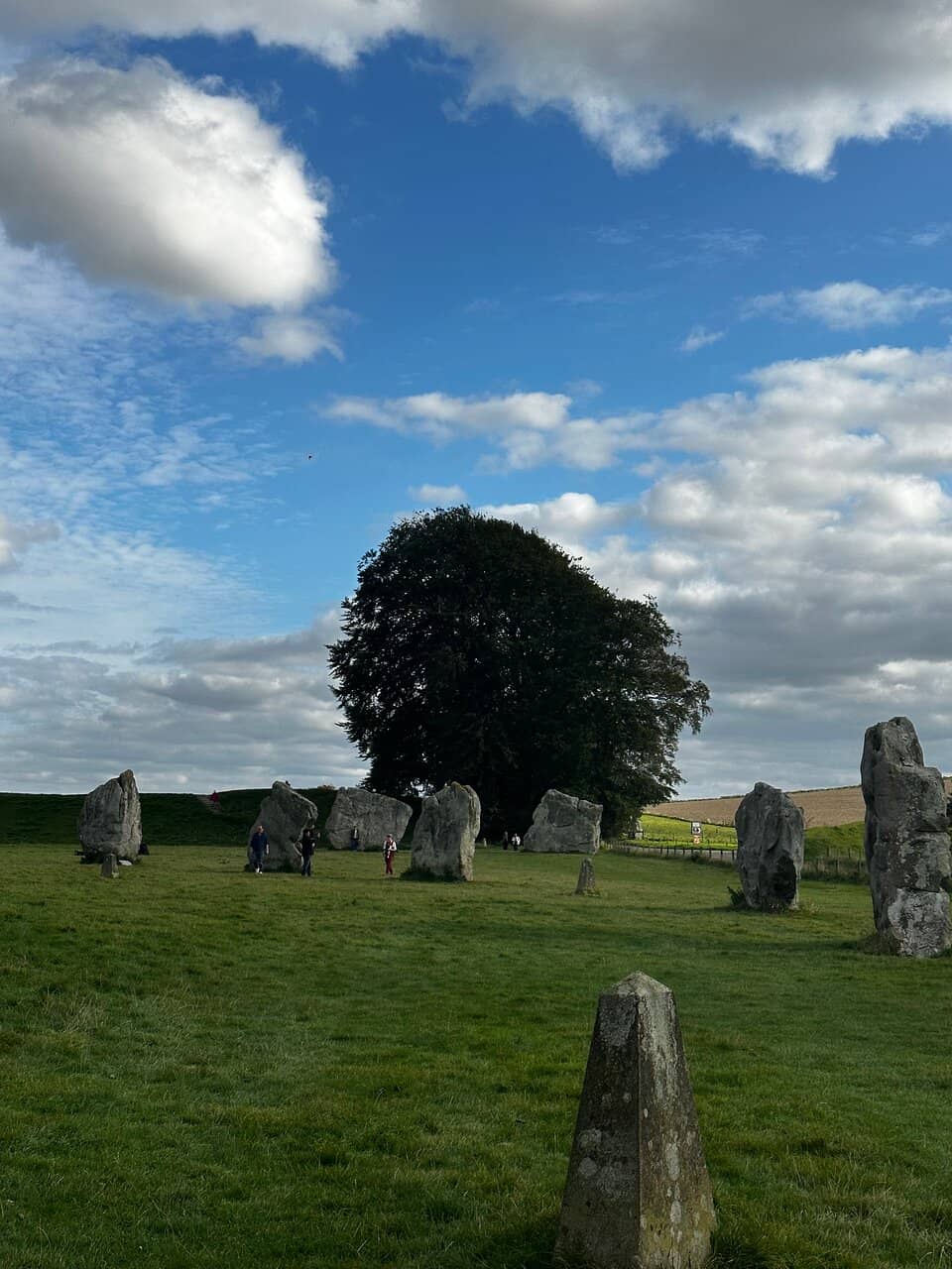 A Landscape of Memory