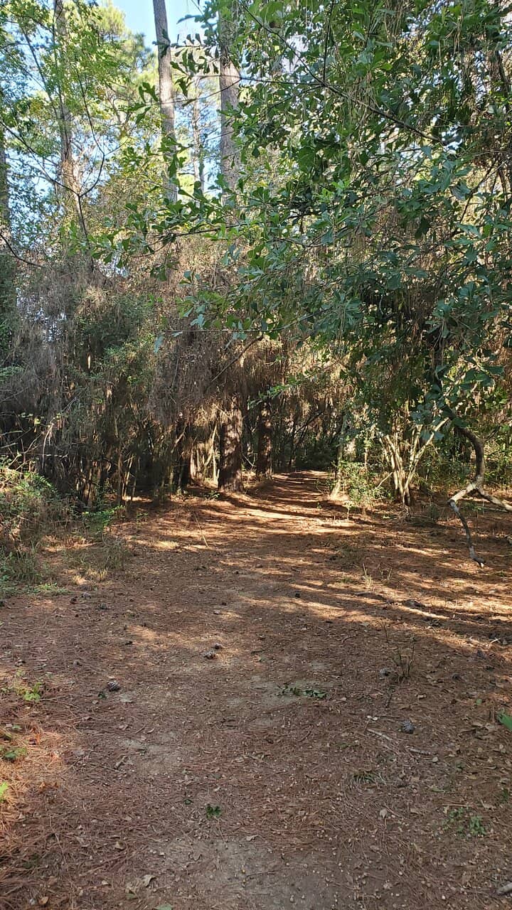 Mountain Biking Adventures