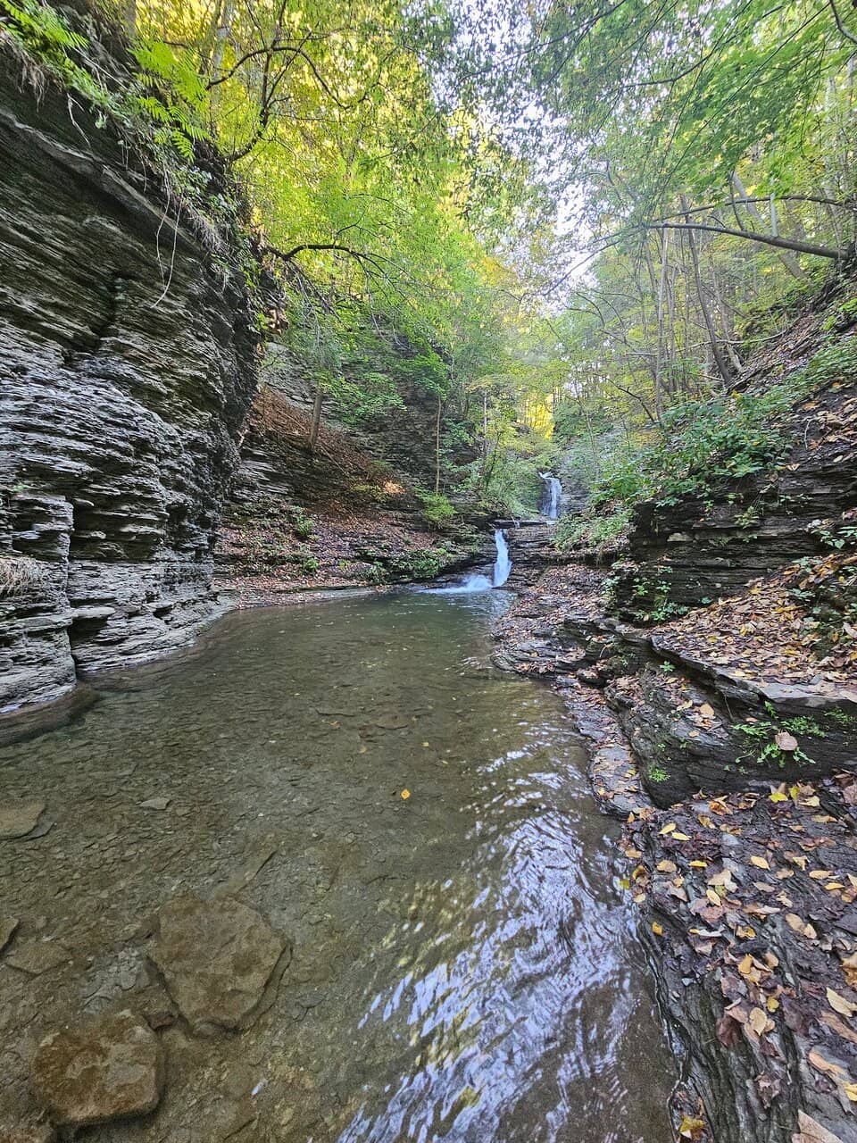 Cascading Falls