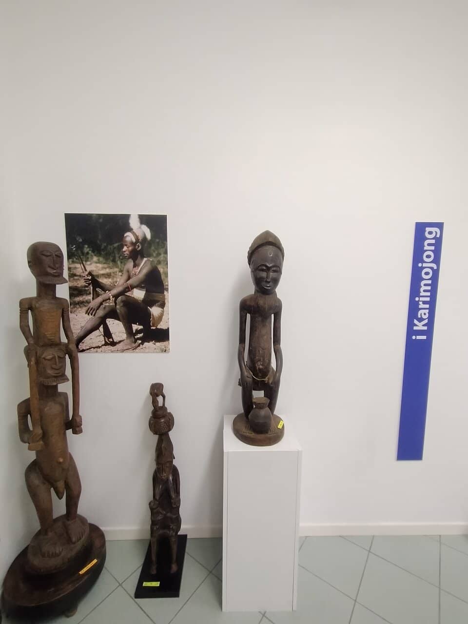 Castiglioni Brothers' Expeditions