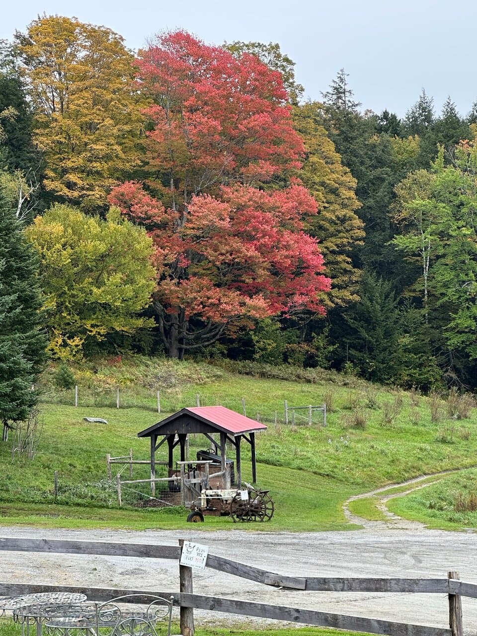 Morse Farm Maple Sugarworks Montpelier