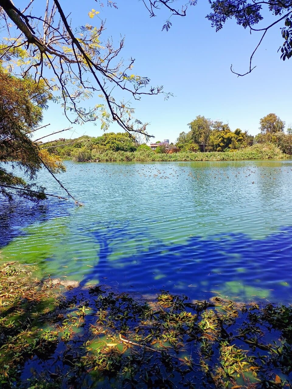 Parc de Tsarasaotra Antananarivo
