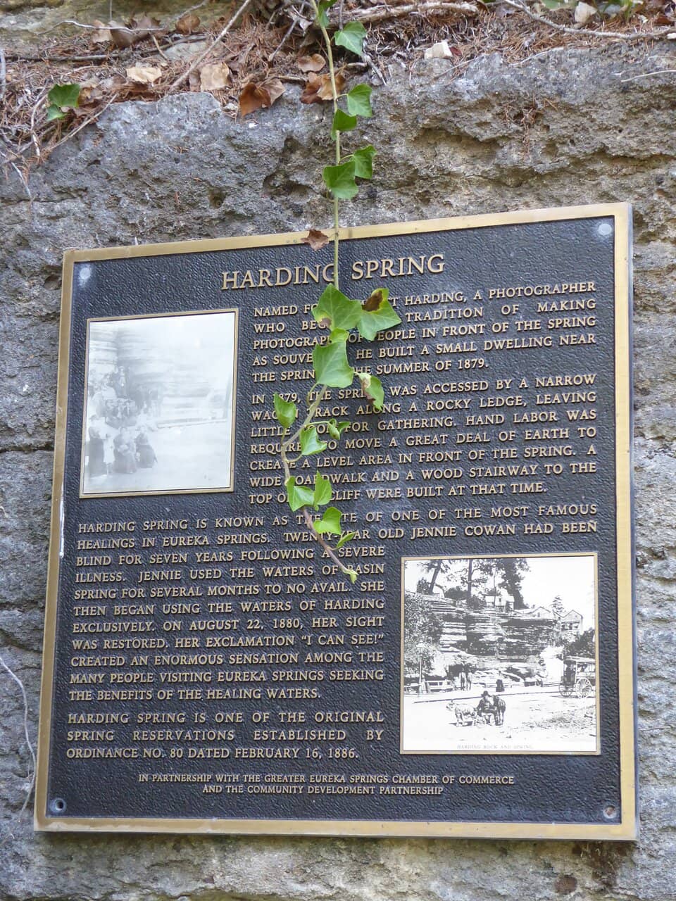 Overlook Trail & Fairy Doors