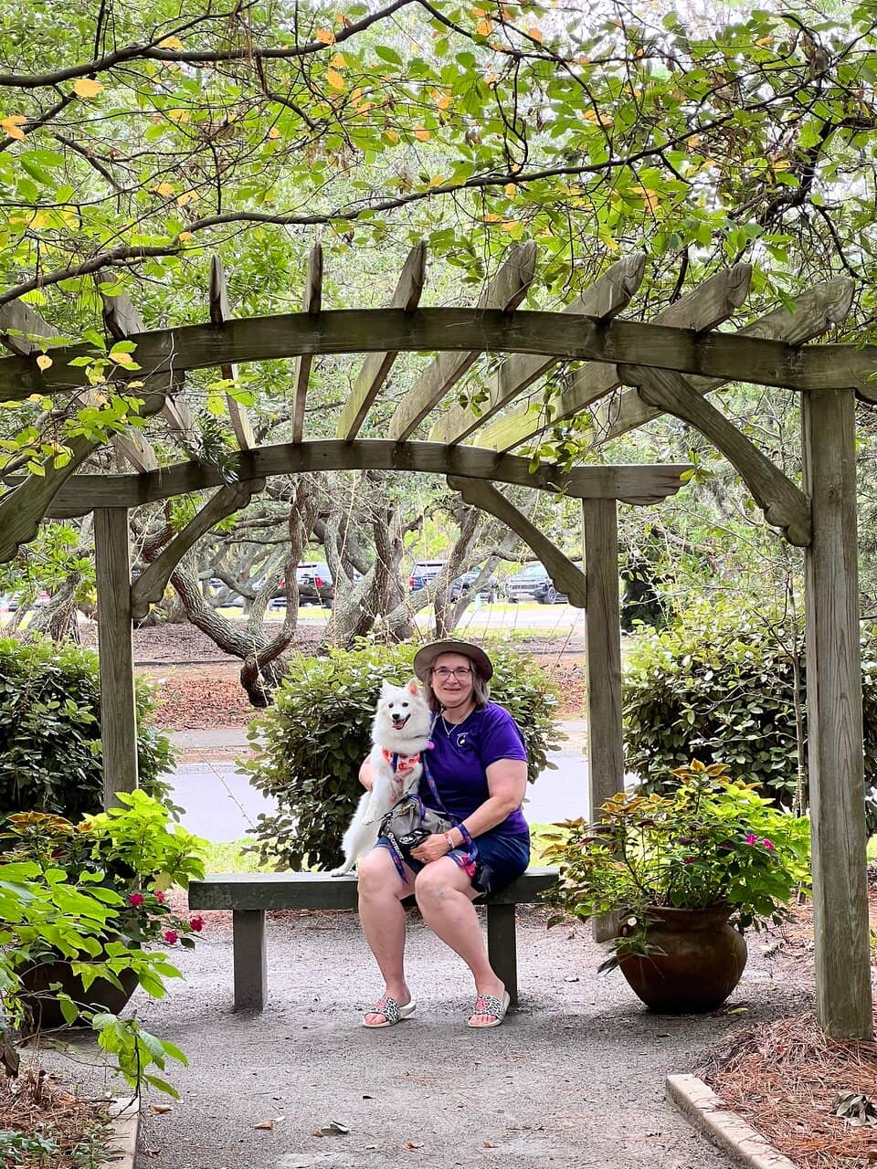 Educational Plant Labels