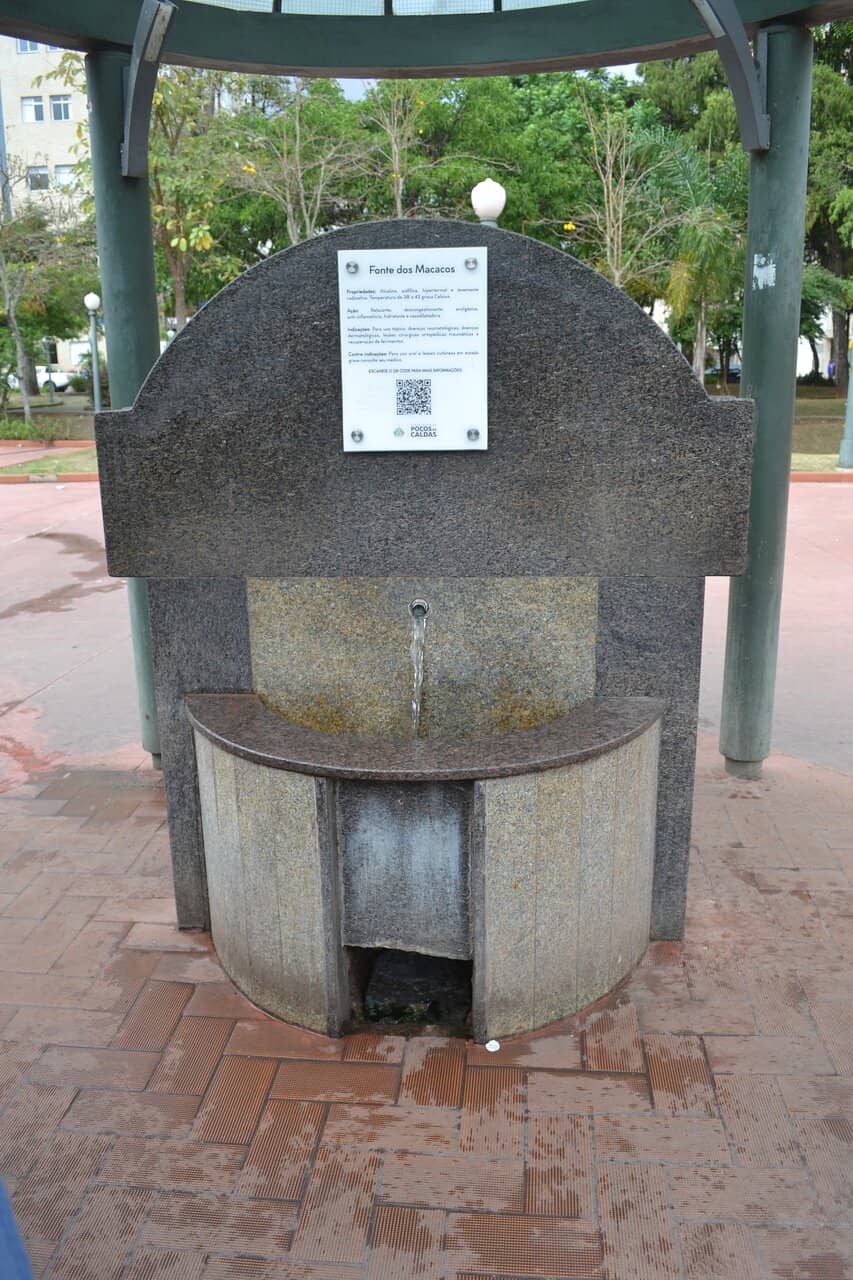 Lush Greenery and Flowers