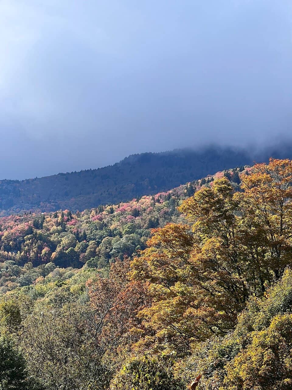 Tanawha Trail Access