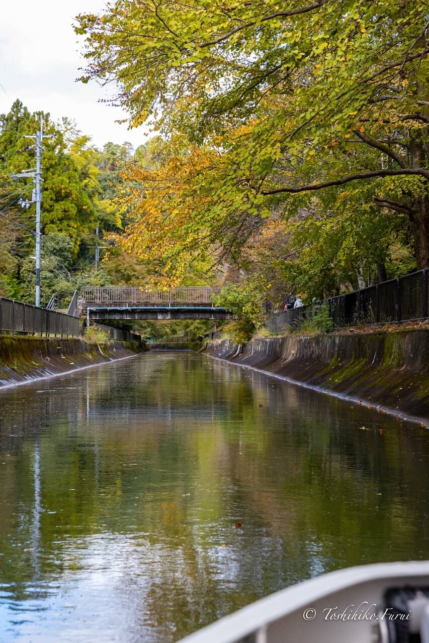 Miidera Temple Views