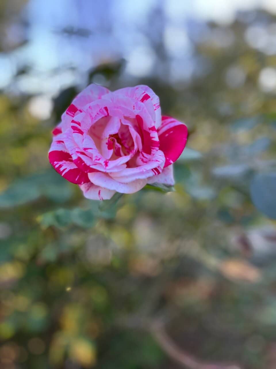 19th-Century Historic House