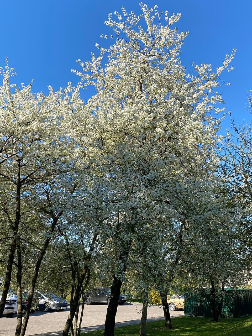 Kalozha Park