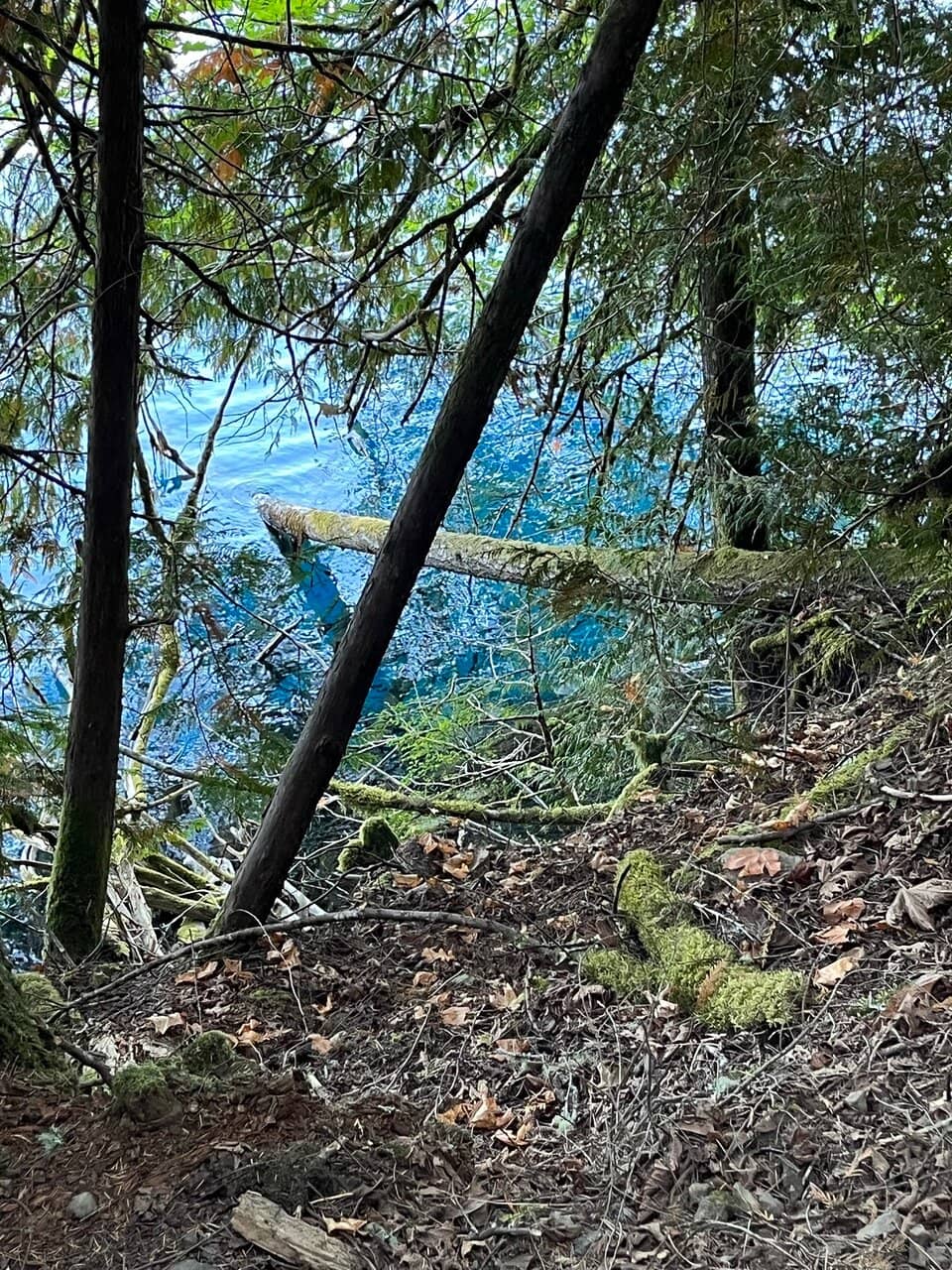 Lake Crescent Views