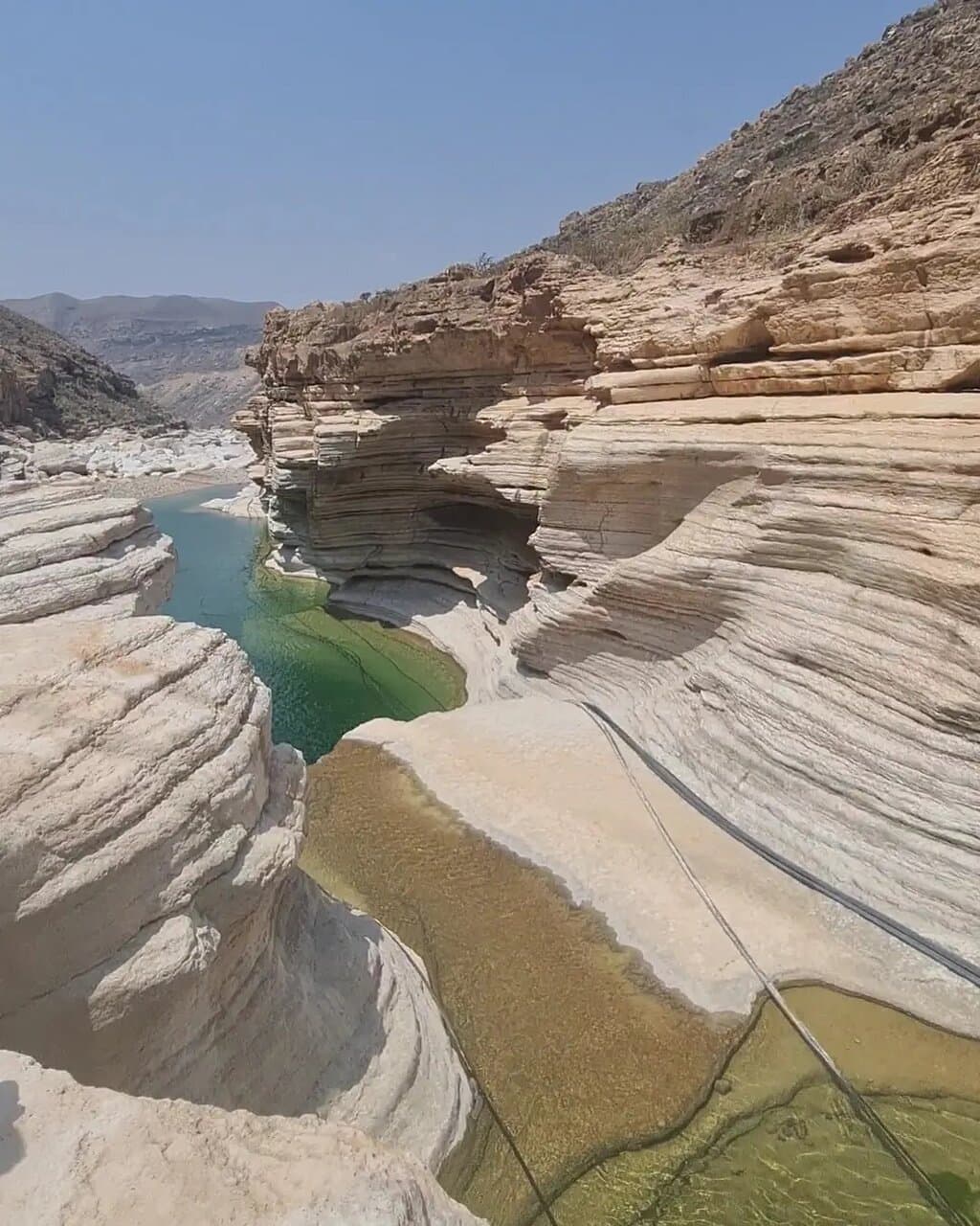 Natural swimming pools