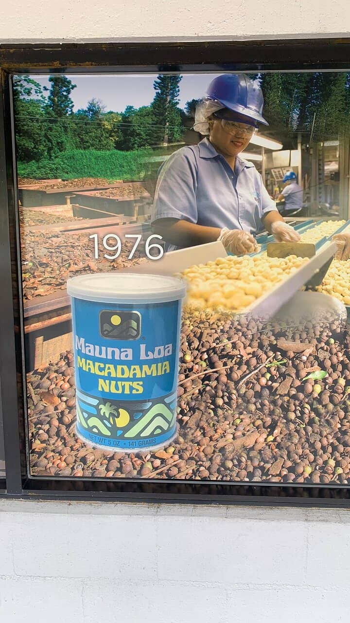 Gift Shop Delights