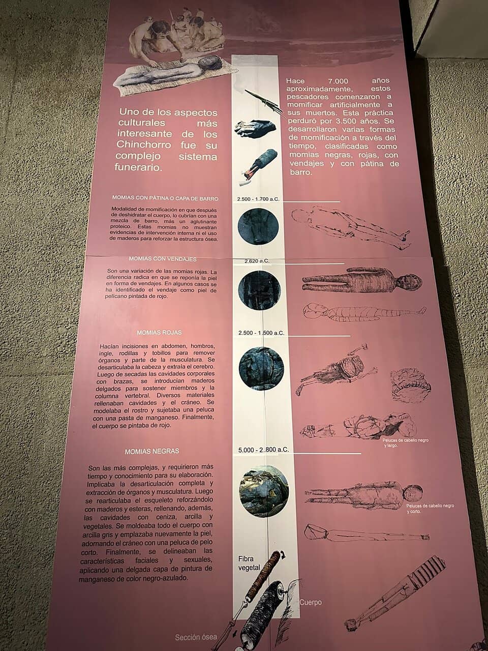 Chinchorro Mummies