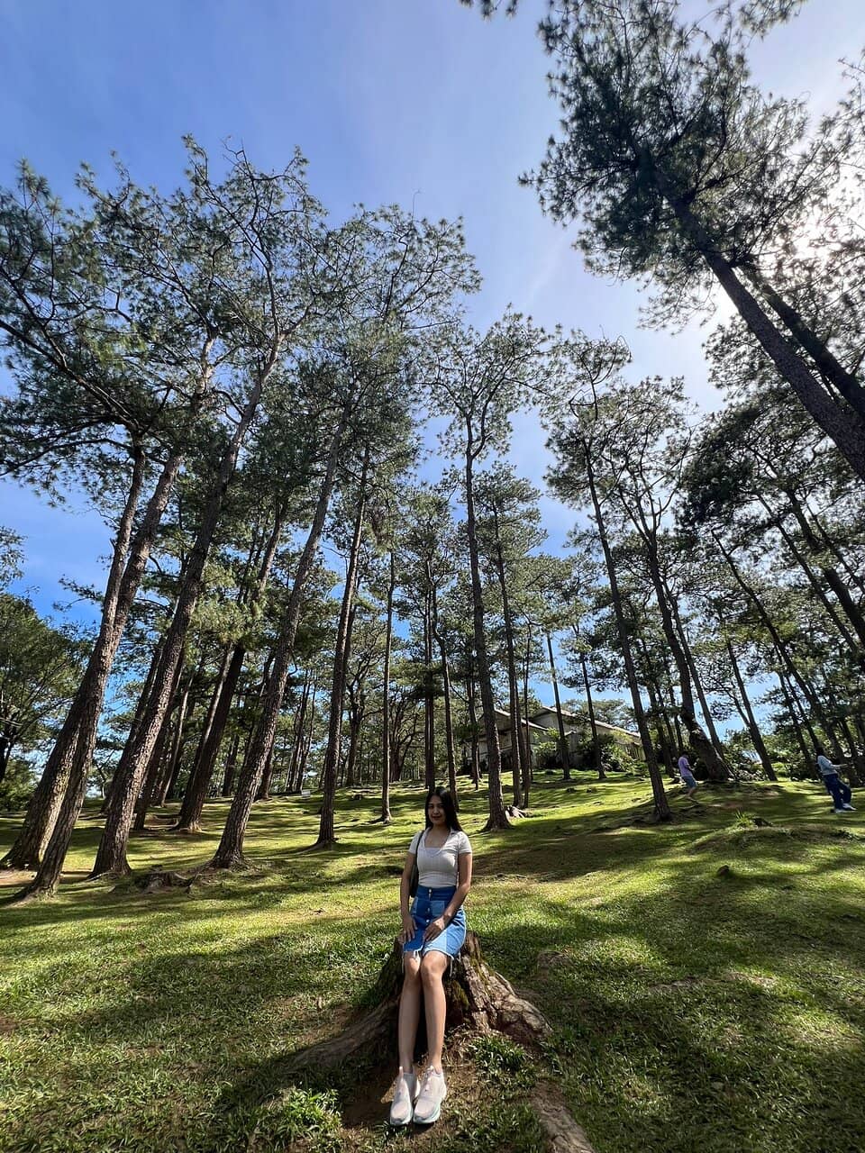 Vertical photo