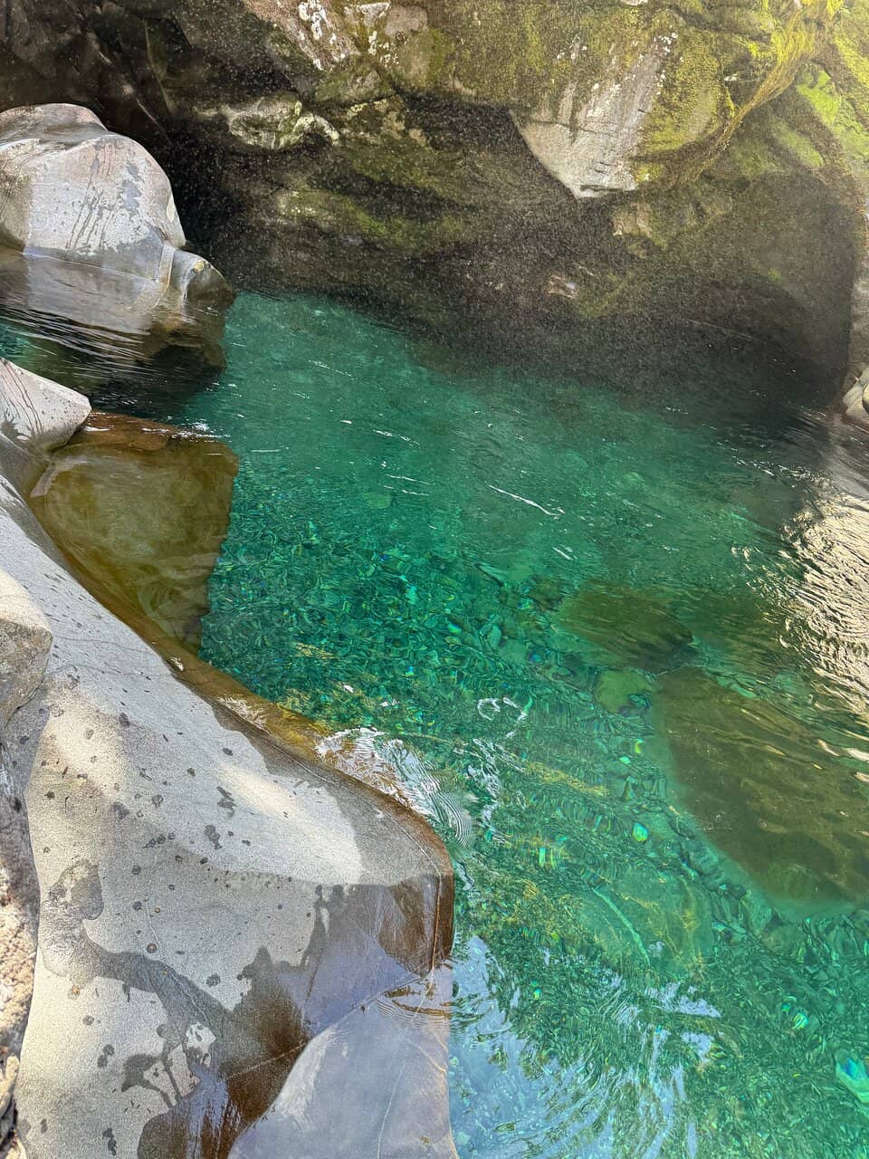 Vertical photo