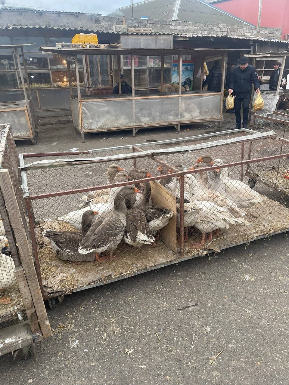 The Grand Bazaar Experience