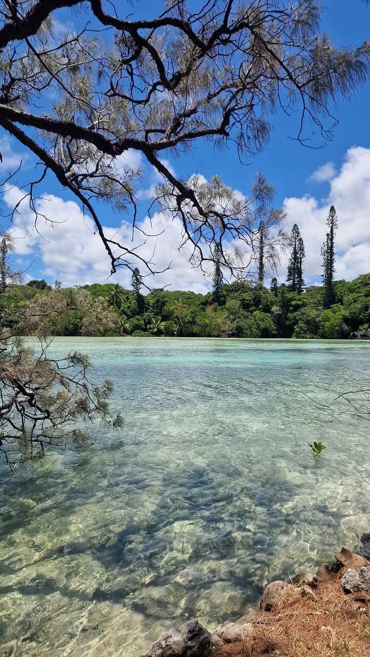 Oro Bay Natural Pool