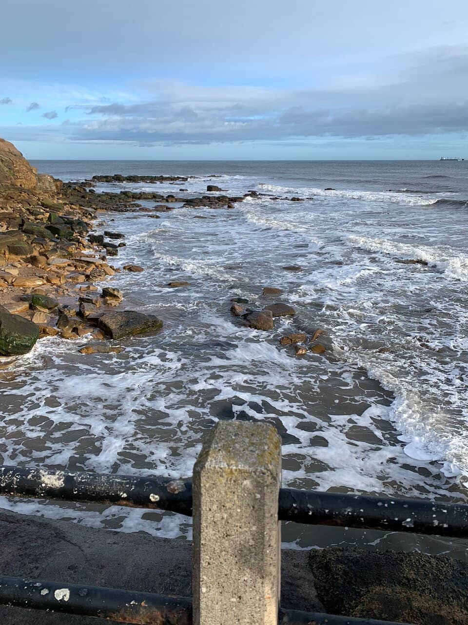 Steam & Salt Wellness