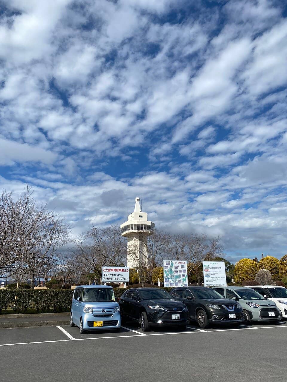 Panoramic City Vistas
