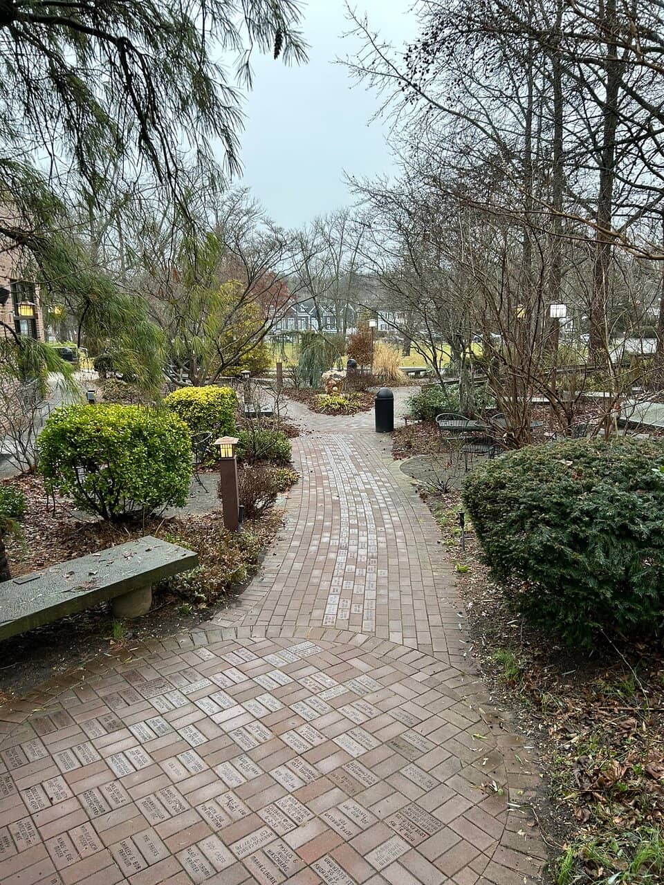 Independent & Arthouse Films